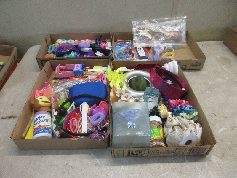 lot 75 image: 4 Boxes of Girls Stuff