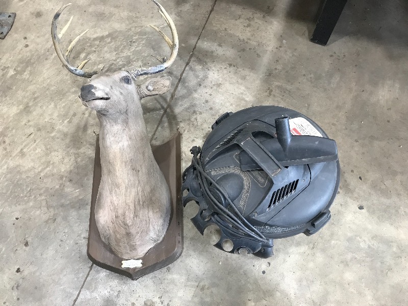 lot 163 image: Buck head and shop vac