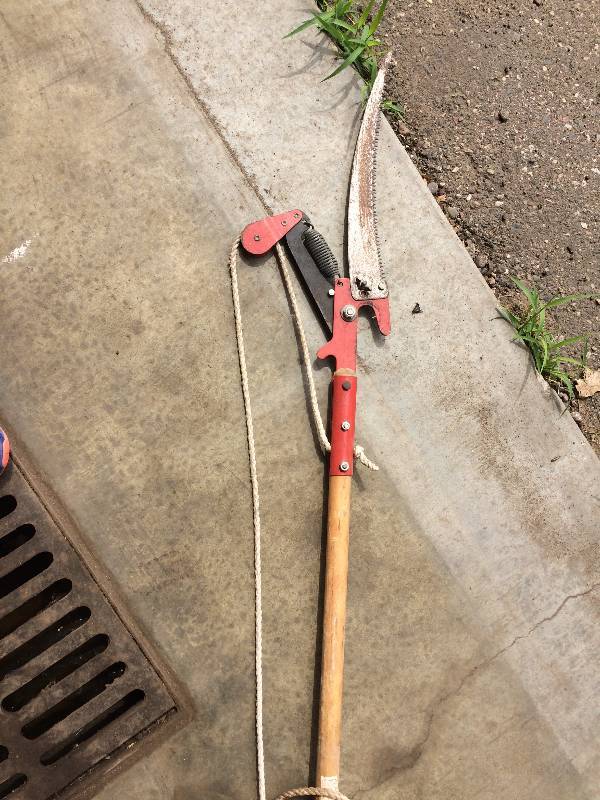 lot 171 image: Yard and cleaning tools, tree trimmer, shovel