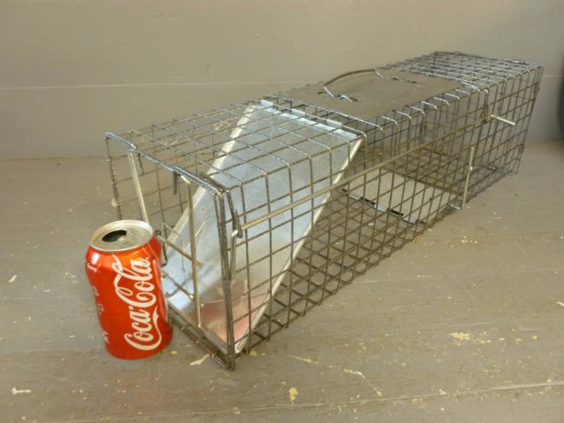 lot 148 image: Live Trap