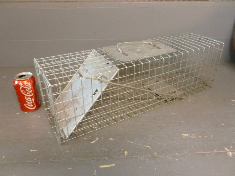 lot 149 image: Live Trap