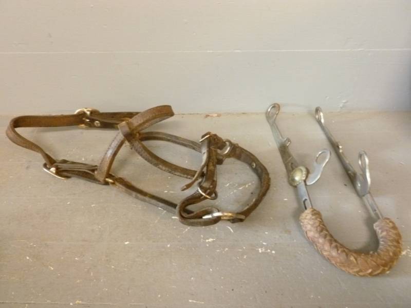 lot 162 image: Horse Equipment