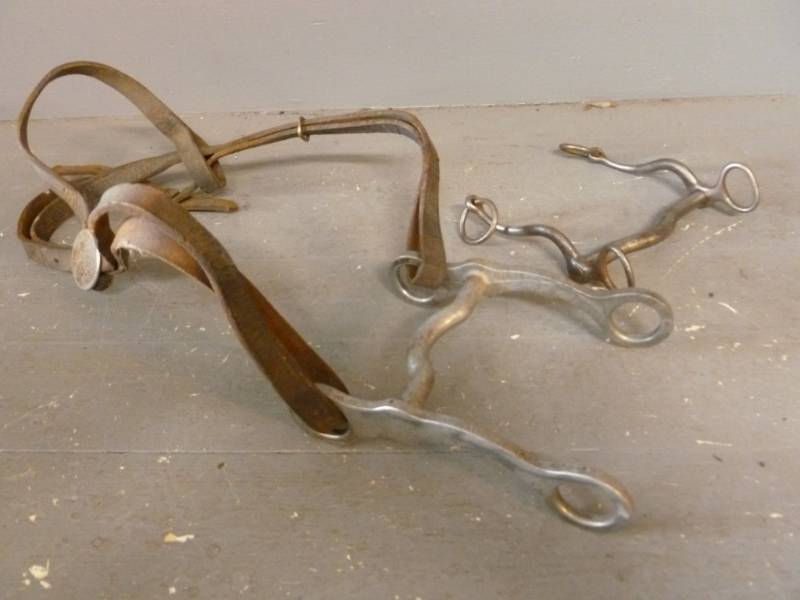 lot 164 image: Horse Equipment