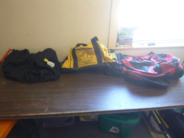 lot 117 image: 3 Gym Bags