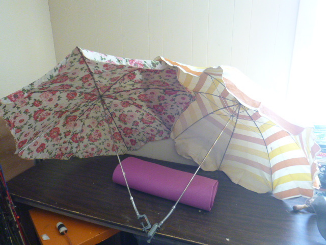 lot 148 image: 2 Umbrellas