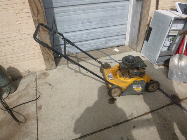 lot 209 image: Coast to Coast Push Mower