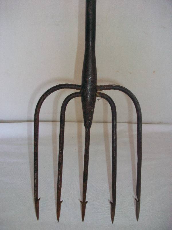 Fish Spear