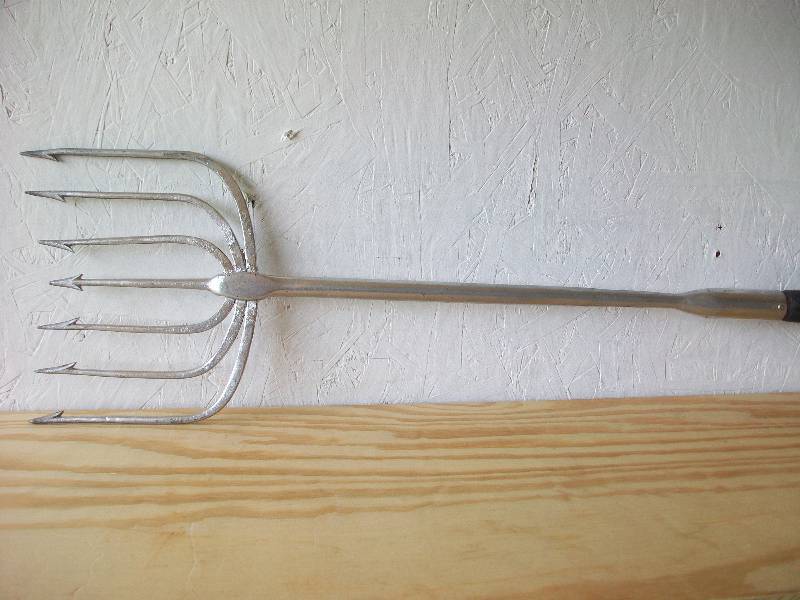 Fish Spear