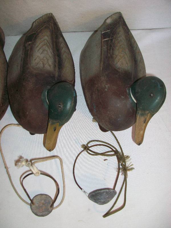 Duck Decoys