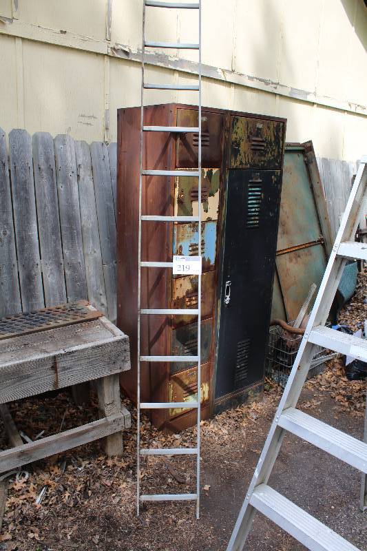lot 219 image: 9ft. 8in. Step Ladder