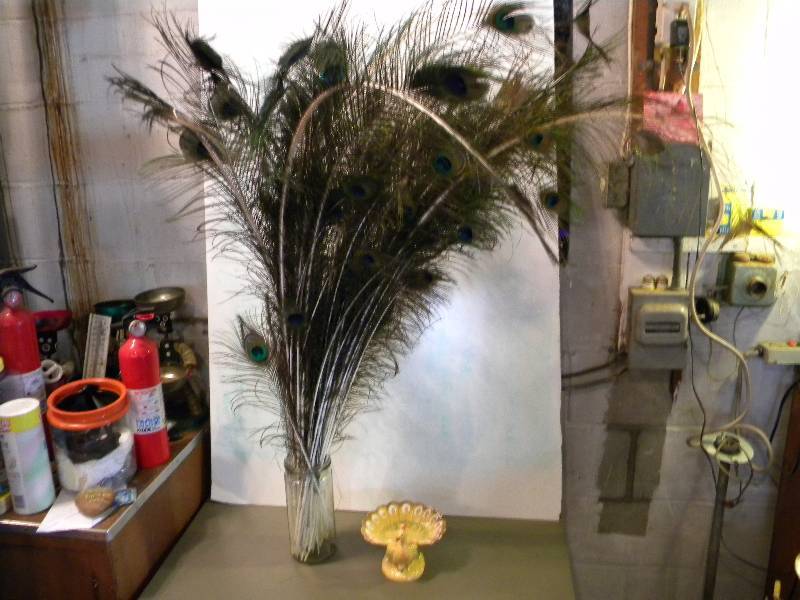 Peacock Feathers & Ceramic and a Wood Peacock Figures