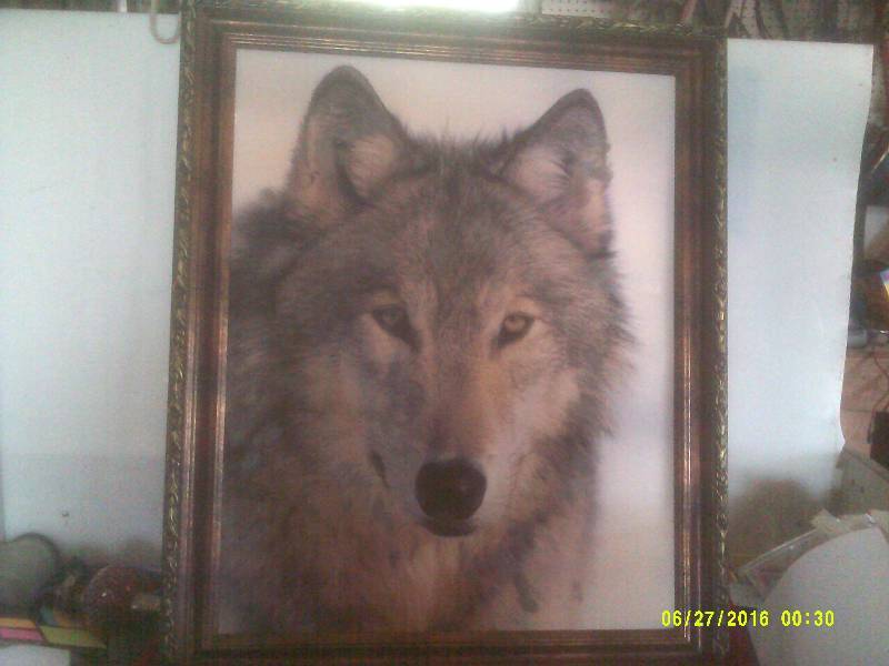 VINTAGE FRAME WOLF PICTURE