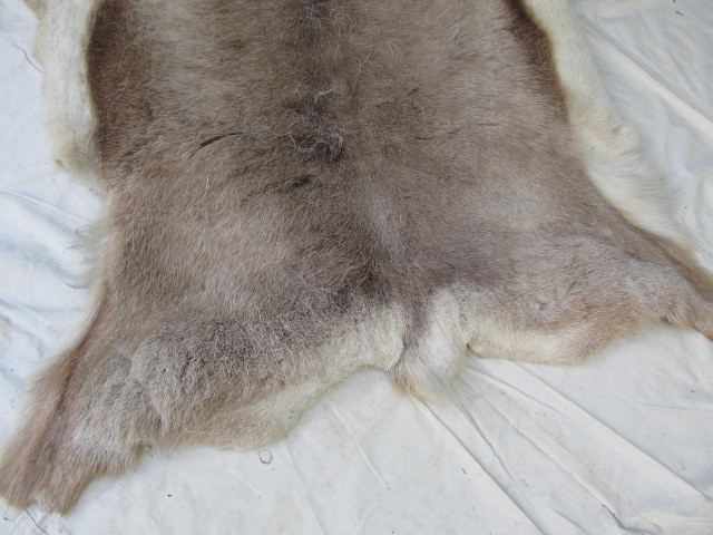 lot 151 image: Genuine Reindeer Hide RugWall Hanging