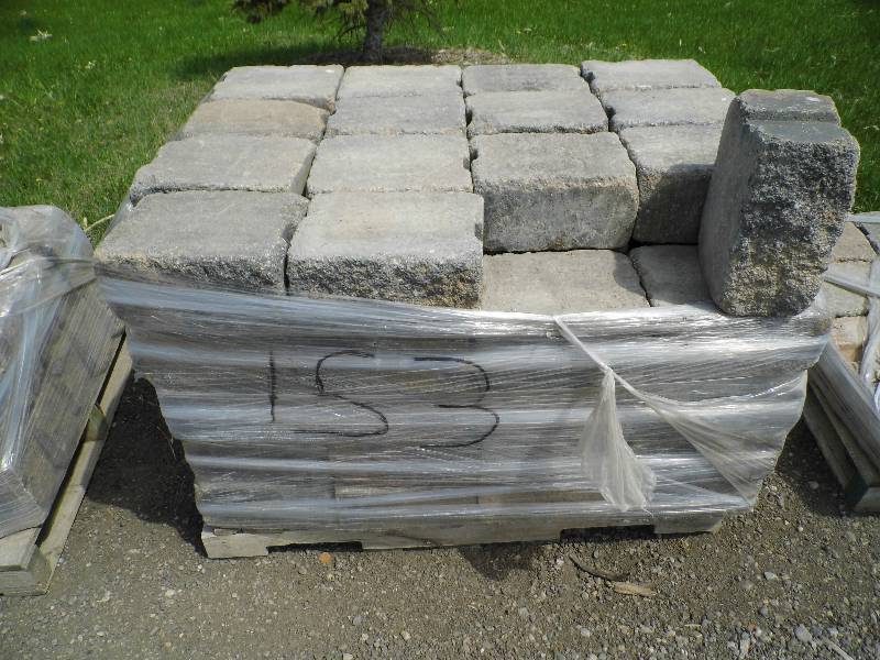 Barkman Roman Pisa Jumbo