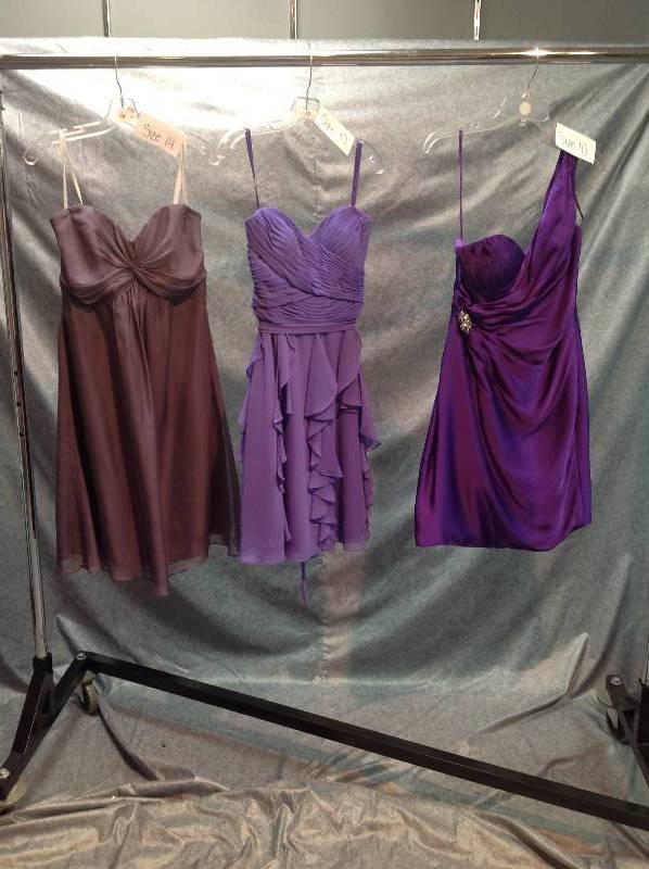 BridesmaidsSpecial Occasion