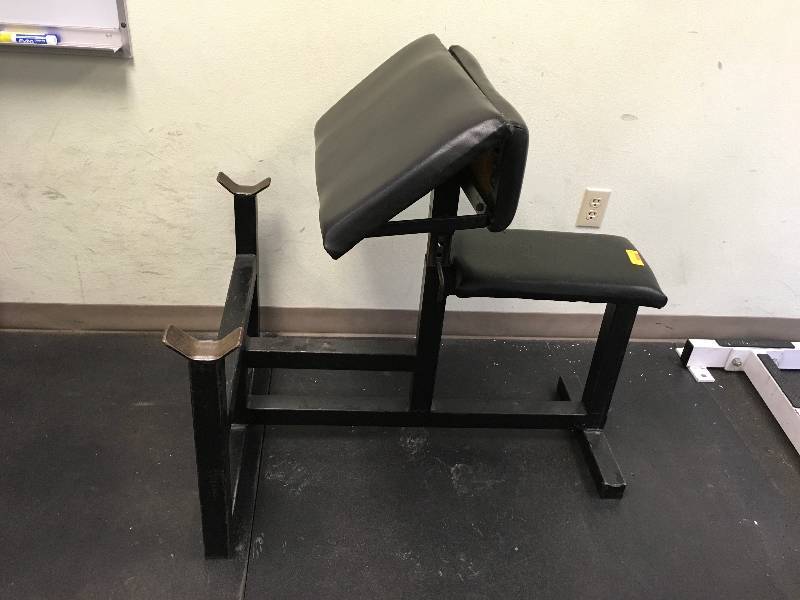 CURLS BENCH