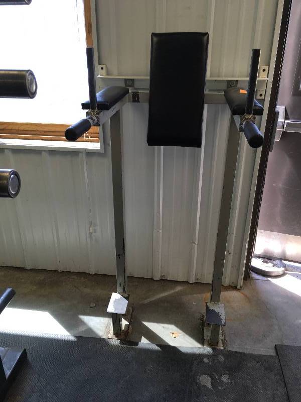 DIPS EXERCISE MACHINE