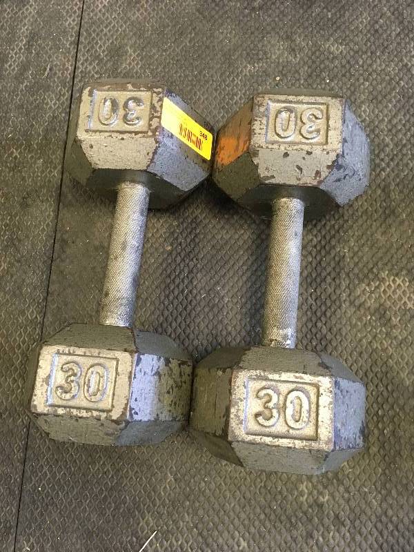 PAIR (2) 30LB DUMBBELL WEIGHTS