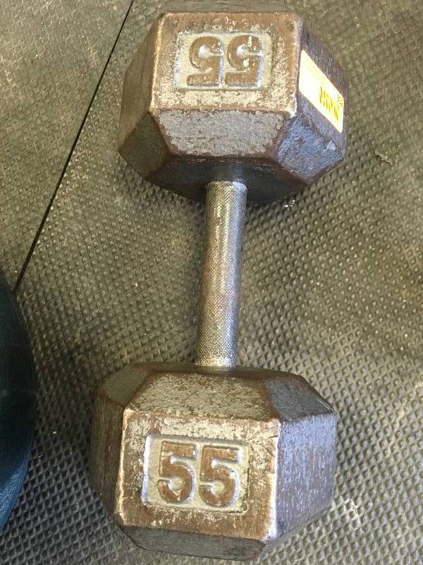 ONE 55LB DUMBBELL WEIGHT