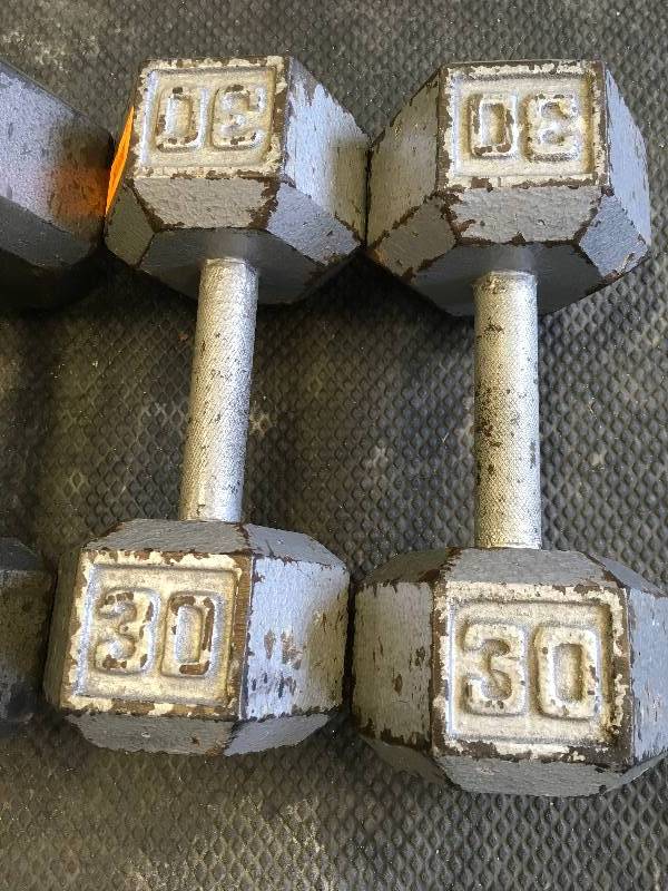 TWO 30LB DUMBBELL WEIGHTS