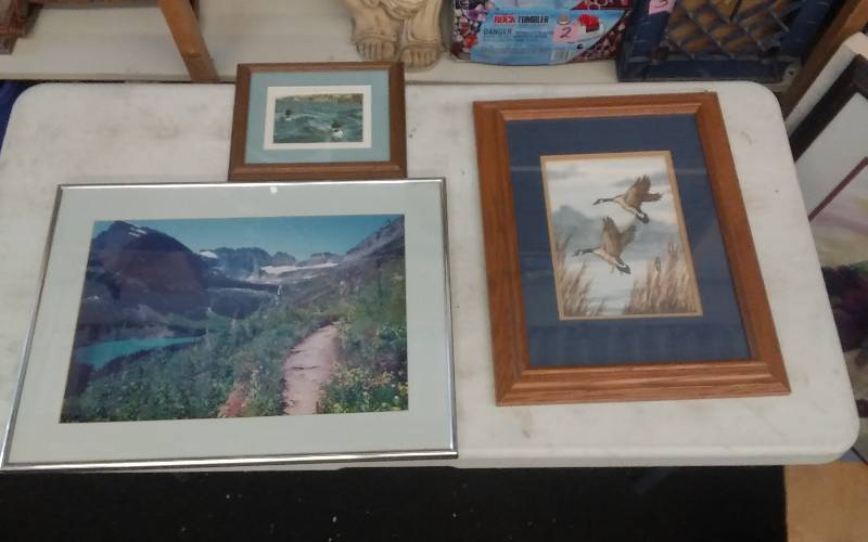 lot 10 image: 3-Piece Wild Life & Scenery Pictures