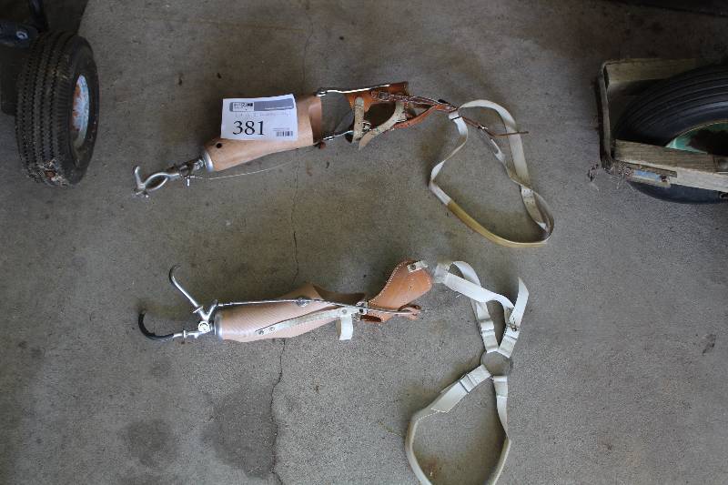 lot 381 image: Lot of (2) Prosthetic Arms
