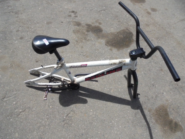 Expert Proline Frame