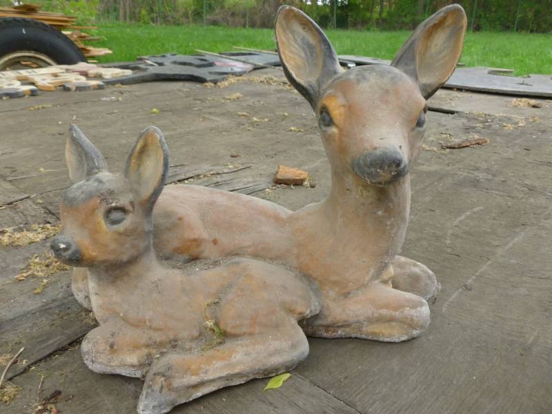 Rock Garden Decoration
