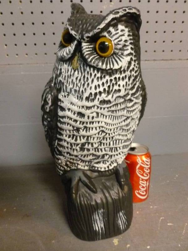 Owl Decoy