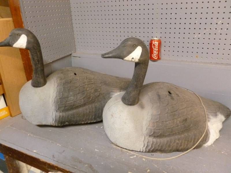 Goose Decoys