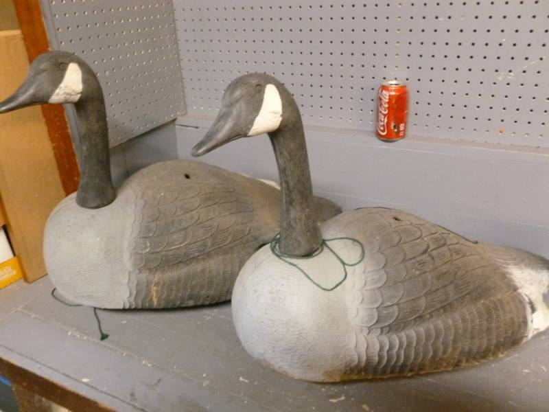 Goose Decoys