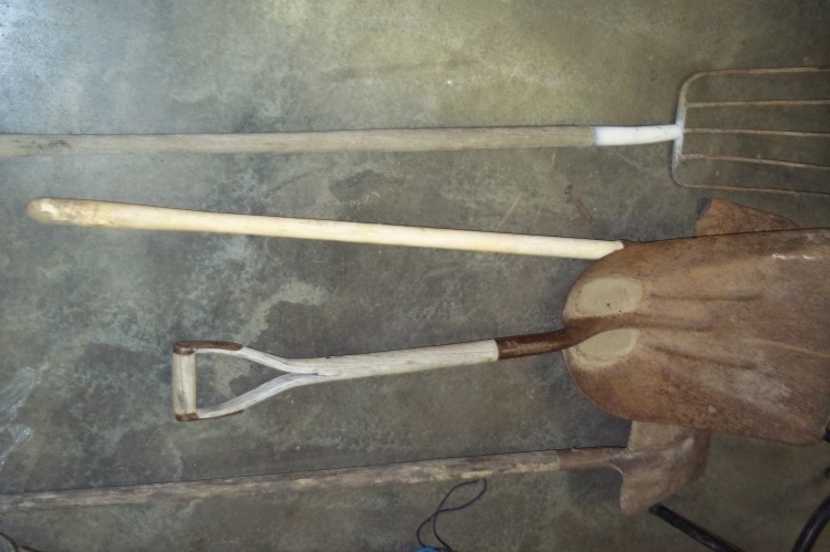 lot 42 image: 3 Shovels and 1 pitch fork