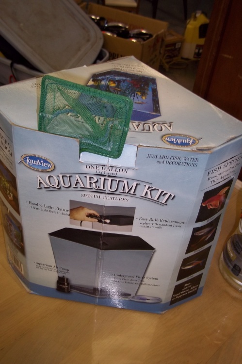 lot 76 image: 1 gal. aquarium kit