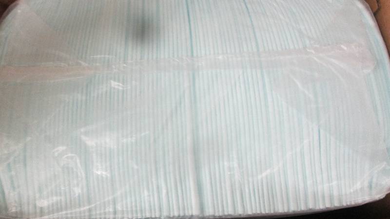Amazon Basics 100 Puppy Pads 22x22...