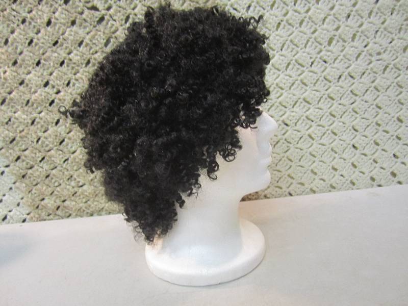 lot 205 image: Ashro Wigs Style Willow Wig Color 1...