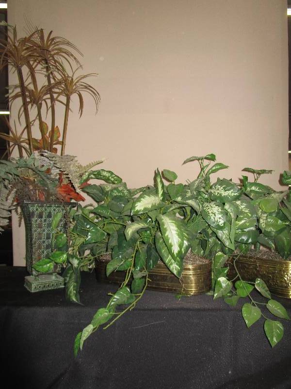 lot 8 image: Artificial Plant Dcor