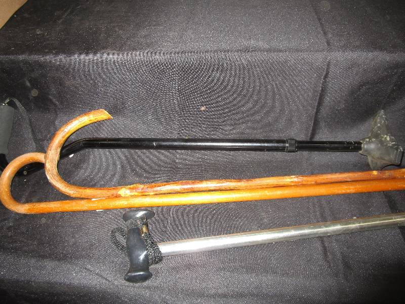 lot 16 image: Canes
