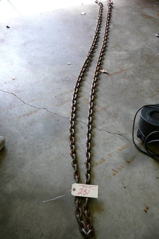 lot 231 image: 16 Log Chain with hooks