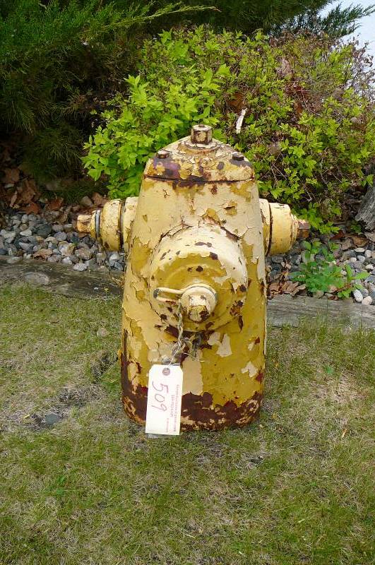 lot 509 image: Clow vintage fire hydron 25 tall