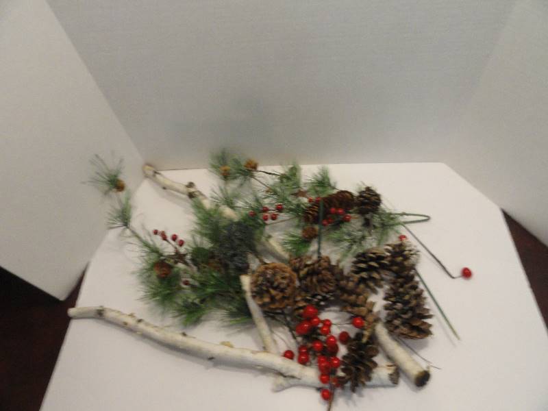 lot 752 image: Birch Dcor with pine cones