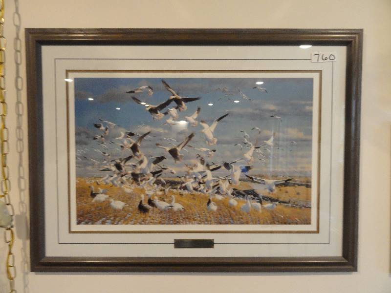 lot 760 image: Canadian Gold Snow Geese