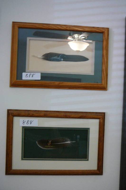 lot 888 image: Hand Painted Feathers