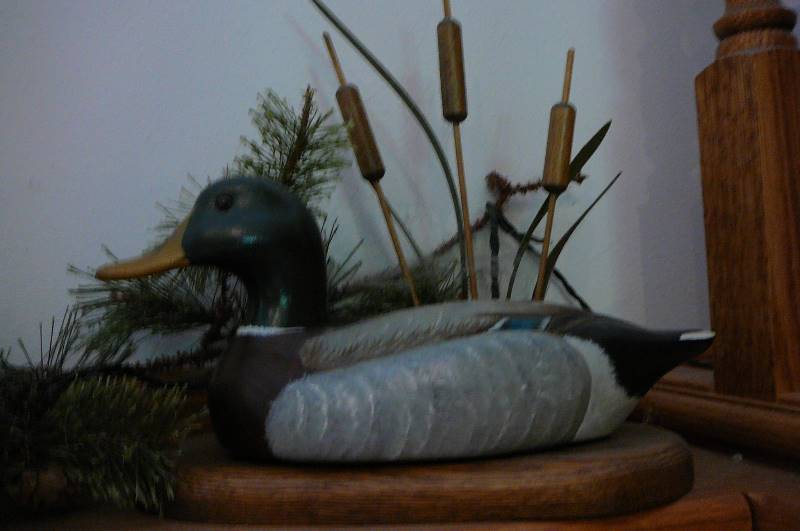 lot 976 image: Cabin decorations (ducks, pine trees,moose, greenery)