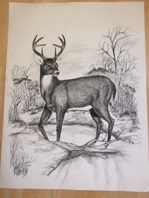 lot 425 image: NATURE PRINT