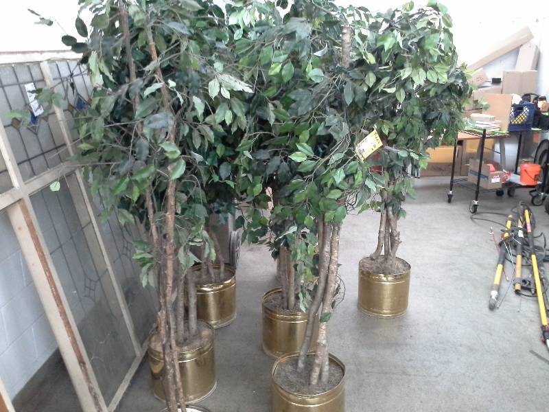 lot 138 image: 7 - Decorative Faux Trees