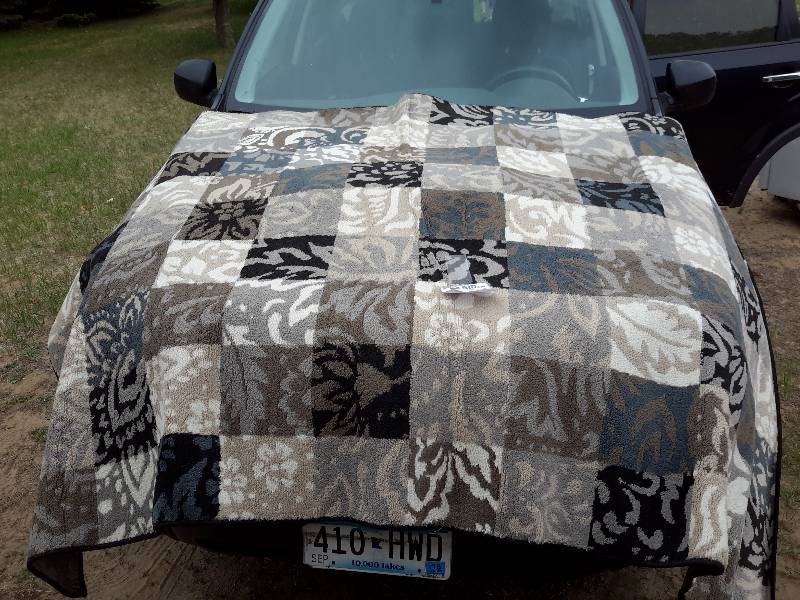 lot 237 image: 91in x 62 in Area Rug.. NiceClean.. I think this is Polyester