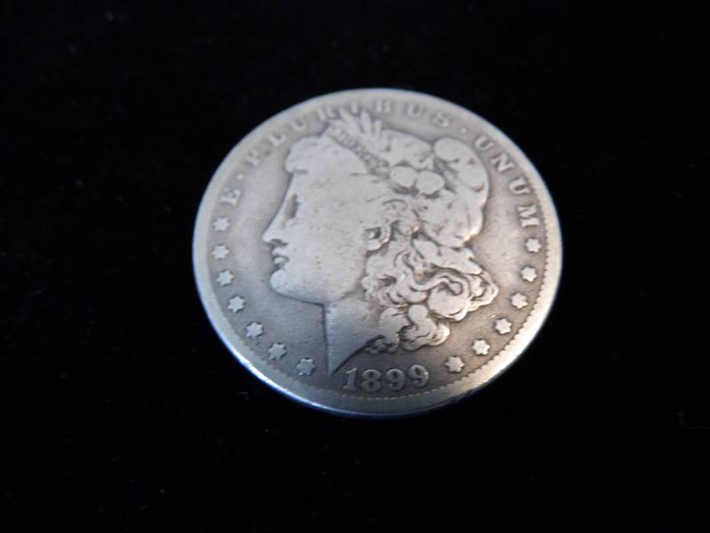 Morgan Dollar Coin