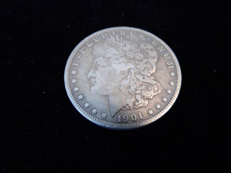 Morgan Dollar Coin