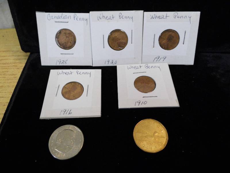 Wheat Pennies - Susan B - Loonie