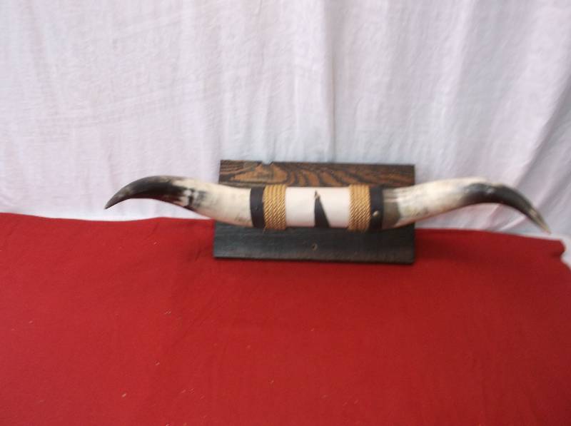 lot 63 image: Bull Horns